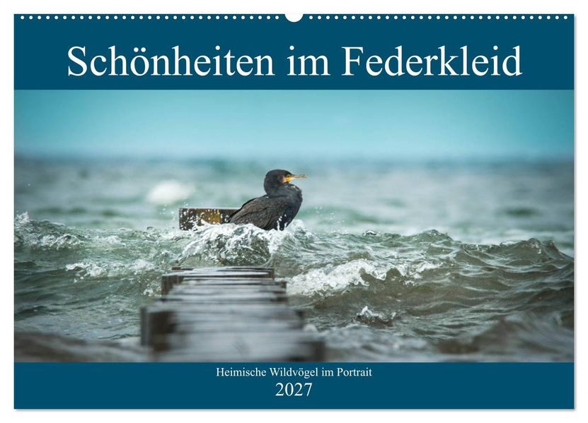 Schönheiten im Federkleid - Heimische Wildvögel im Portrait (Wandkalender 2027 DIN A2 quer) CALVENDO Monatskalender