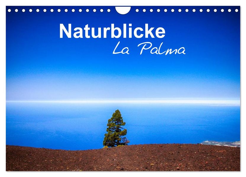 Naturblicke - La Palma (Wandkalender 2027 DIN A4 quer) CALVENDO Monatskalender