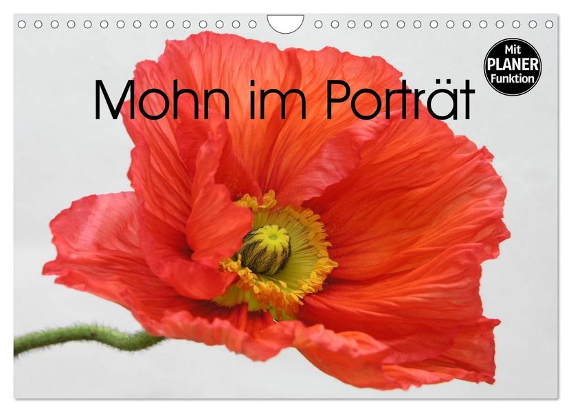 Mohn im Porträt (Wandkalender 2027 DIN A4 quer) CALVENDO Monatskalender