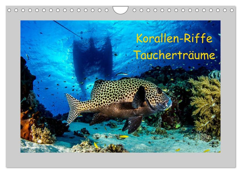 Korallen-Riffe Taucherträume (Wandkalender 2027 DIN A4 quer) CALVENDO Monatskalender