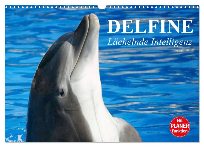 Delfine - Lächelnde Intelligenz (Wandkalender 2027 DIN A3 quer) CALVENDO Monatskalender