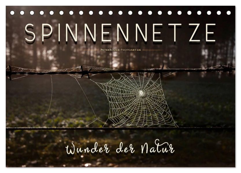 Spinnennetze - Wunder der Natur (Tischkalender 2027 DIN A5 quer) CALVENDO Monatskalender