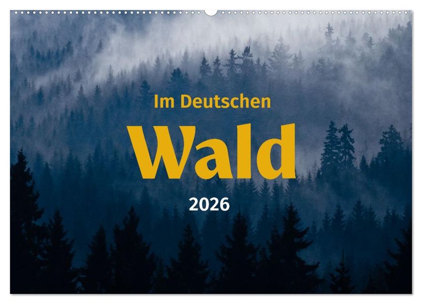 Im Deutschen Wald (Wandkalender 2027 DIN A2 quer) CALVENDO Monatskalender