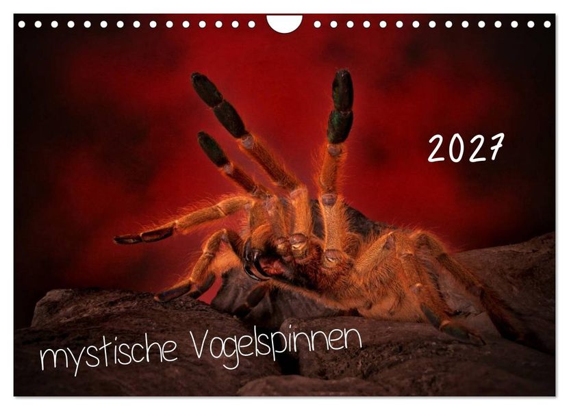 Mystische Vogelspinnen (Wandkalender 2027 DIN A4 quer) CALVENDO Monatskalender