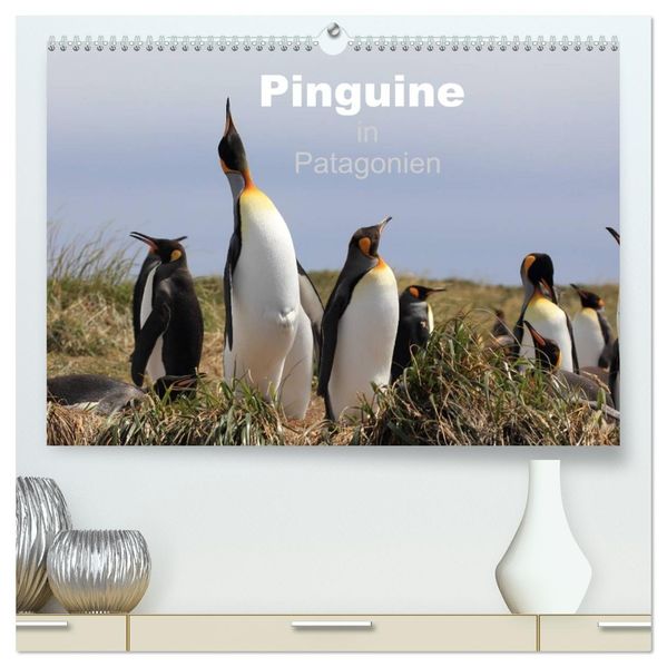 Pinguine in Patagonien (hochwertiger Premium Wandkalender 2027 DIN A2 quer) Kunstdruck in Hochglanz