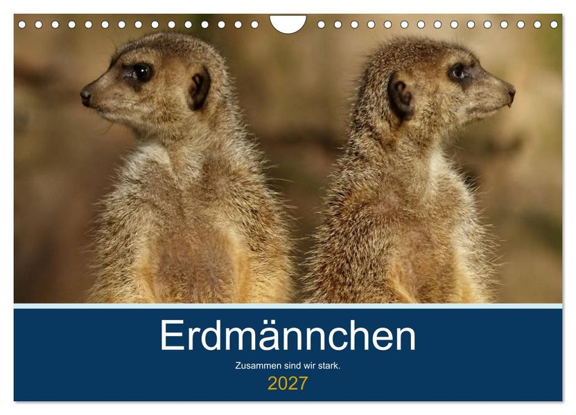 Erdmännchen - Zusammen sind wir stark (Wandkalender 2027 DIN A4 quer) CALVENDO Monatskalender