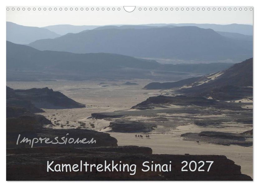 Impressionen Kameltrekking Sinai 2027 (Wandkalender 2027 DIN A3 quer) CALVENDO Monatskalender