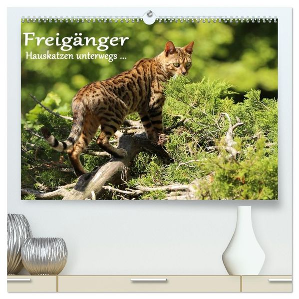 Freigänger - Hauskatzen unterwegs (hochwertiger Premium Wandkalender 2027 DIN A2 quer) Kunstdruck in Hochglanz