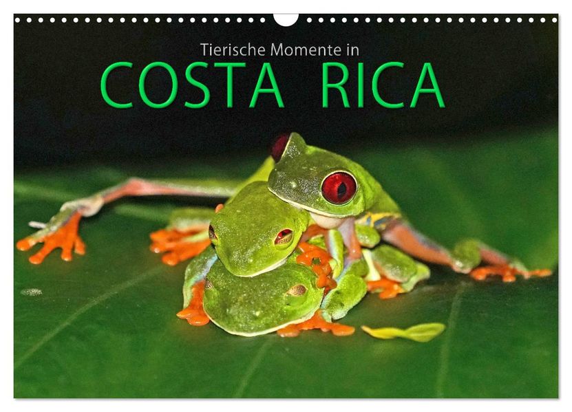COSTA RICA - Tierische Momente (Wandkalender 2027 DIN A3 quer) CALVENDO Monatskalender