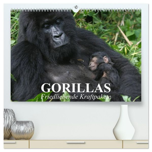 Gorillas. Friedliebende Kraftpakete (hochwertiger Premium Wandkalender 2027 DIN A2 quer) Kunstdruck in Hochglanz