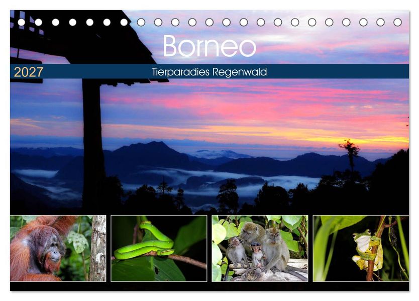 Borneo - Tierparadies Regenwald (Tischkalender 2027 DIN A5 quer) CALVENDO Monatskalender