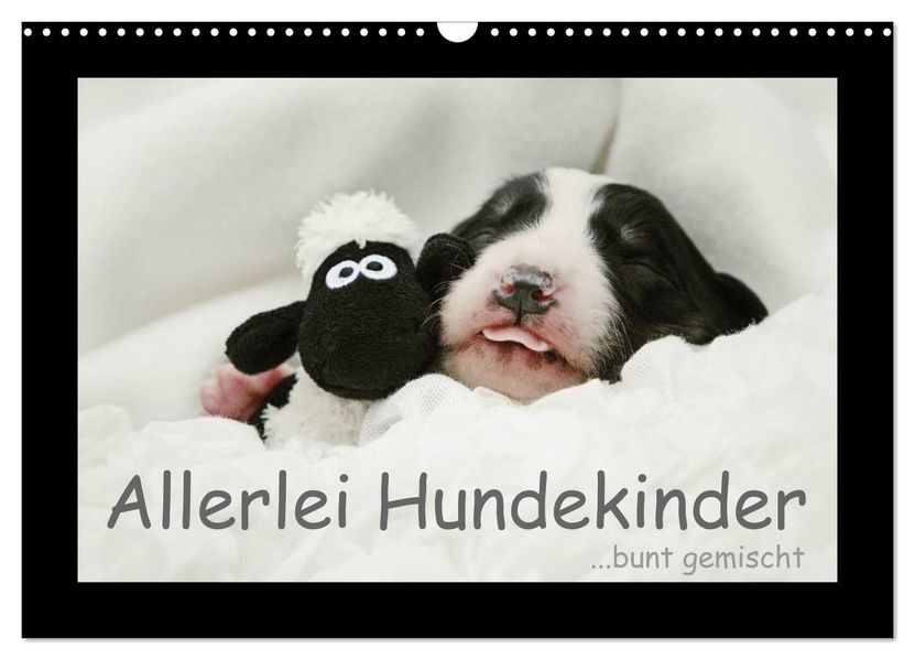 Allerlei Hundekinder (Wandkalender 2027 DIN A3 quer) CALVENDO Monatskalender