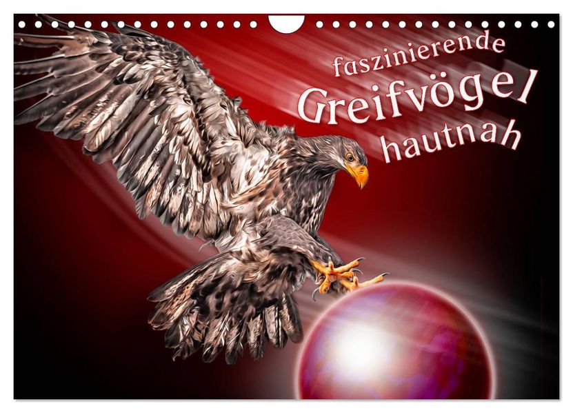 Faszinierende Greifvögel hautnah (Wandkalender 2027 DIN A4 quer) CALVENDO Monatskalender