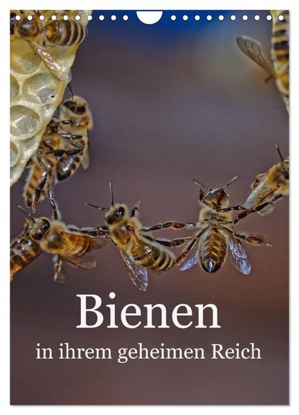 Bienen in ihrem geheimen Reich (Wandkalender 2027 DIN A4 hoch) CALVENDO Monatskalender