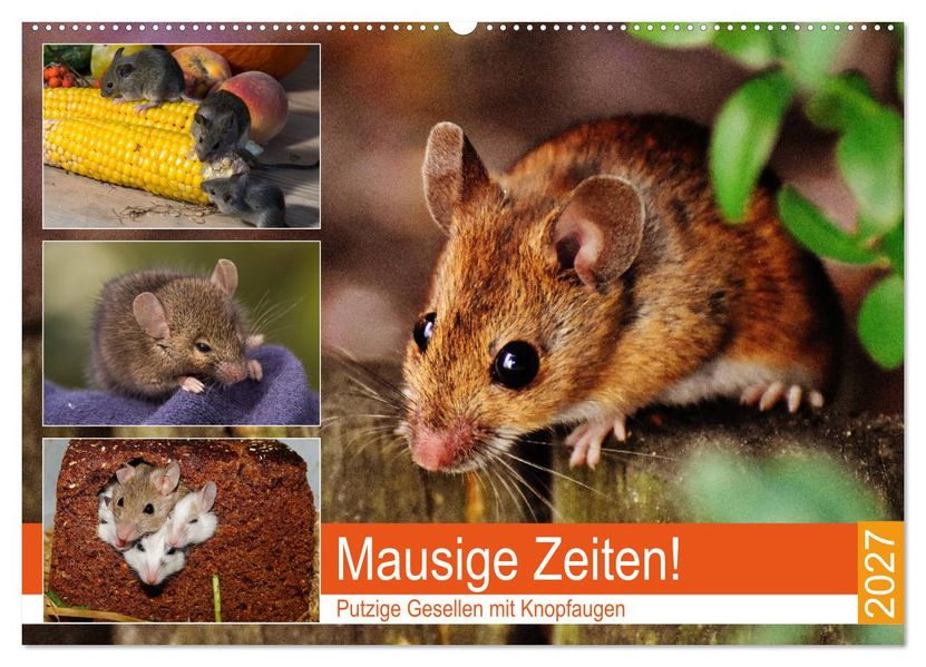 Mausige Zeiten! Putzige Gesellen mit Knopfaugen (Wandkalender 2027 DIN A2 quer) CALVENDO Monatskalender