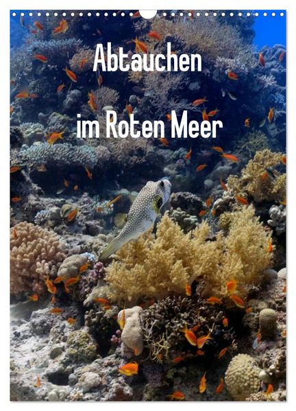 Abtauchen im Roten Meer (Wandkalender 2027 DIN A3 hoch) CALVENDO Monatskalender
