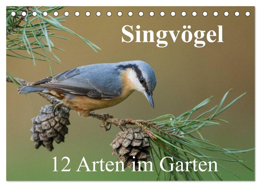 Singvögel - 12 Arten im Garten (Tischkalender 2027 DIN A5 quer) CALVENDO Monatskalender