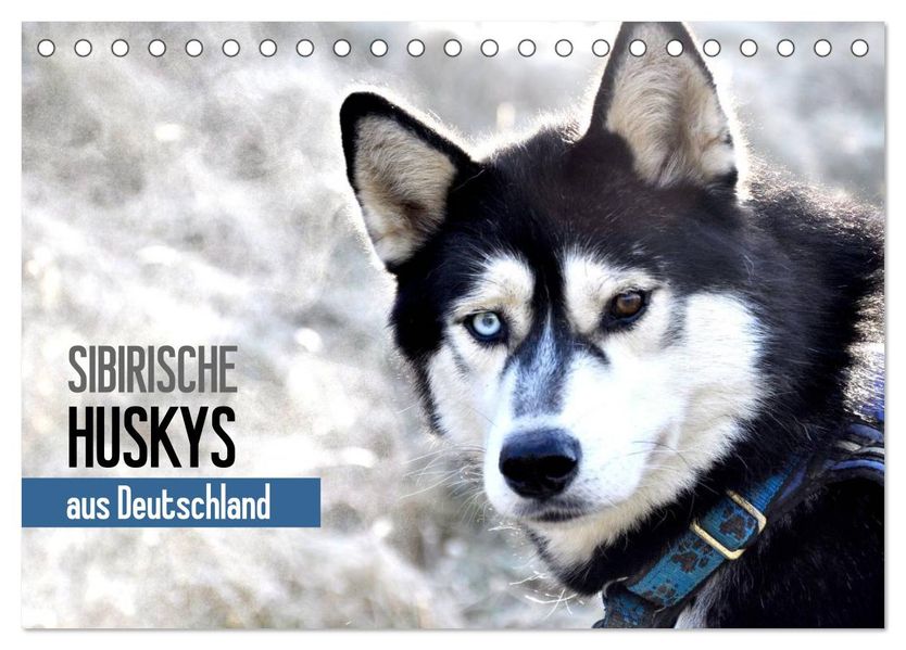 Sibirische Huskys aus Deutschland (Tischkalender 2027 DIN A5 quer) CALVENDO Monatskalender