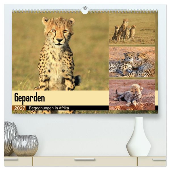 Geparden - Begegnungen in Afrika (hochwertiger Premium Wandkalender 2027 DIN A2 quer) Kunstdruck in Hochglanz