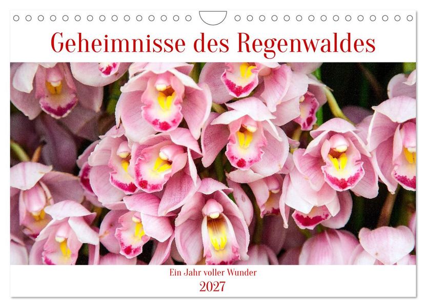 Geheimnisse des Regenwaldes (Wandkalender 2027 DIN A4 quer) CALVENDO Monatskalender