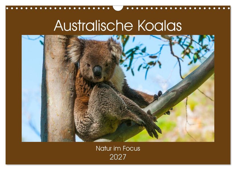 Australische Koalas (Wandkalender 2027 DIN A3 quer) CALVENDO Monatskalender