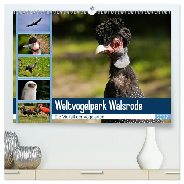 Weltvogelpark Walsrode - Die Vielfalt der Vogelarten (hochwertiger Premium Wandkalender 2027 DIN A2 quer) Kunstdruck in Hochglanz
