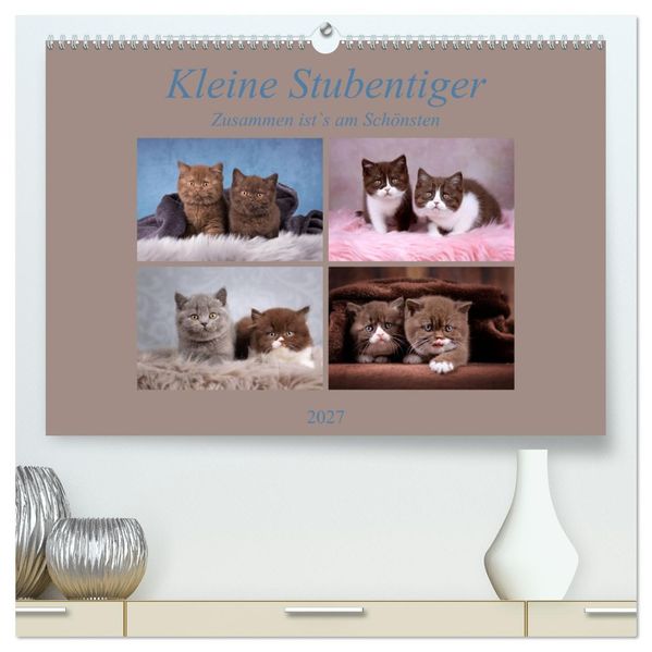 Kleine Stubenstiger (hochwertiger Premium Wandkalender 2027 DIN A2 quer) Kunstdruck in Hochglanz