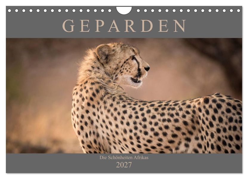 Geparden - Die Schönheiten Afrikas (Wandkalender 2027 DIN A4 quer) CALVENDO Monatskalender