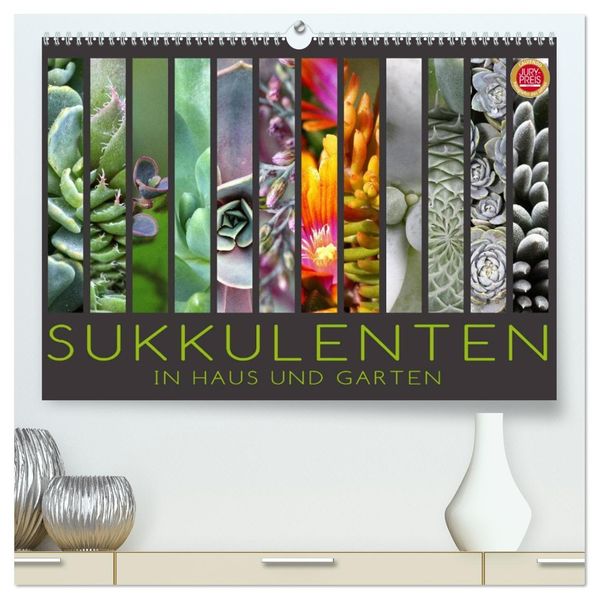 Sukkulenten in Haus und Garten (hochwertiger Premium Wandkalender 2027 DIN A2 quer) Kunstdruck in Hochglanz