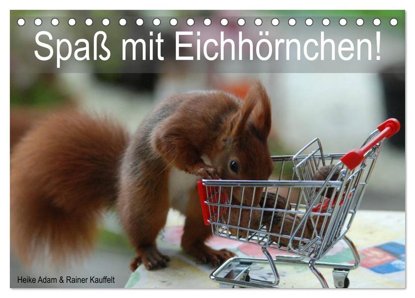 Spaß mit Eichhörnchen! (Tischkalender 2027 DIN A5 quer) CALVENDO Monatskalender