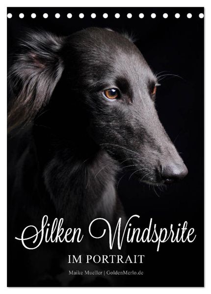 Silken Windsprite im Portrait (Tischkalender 2027 DIN A5 hoch) CALVENDO Monatskalender