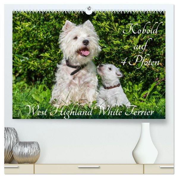 Kobold auf 4 Pfoten - West Highland White Terrier (hochwertiger Premium Wandkalender 2027 DIN A2 quer) Kunstdruck in Hochglanz
