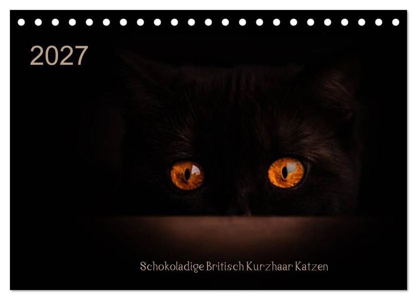 Schokoladige Britisch Kurzhaar Katzen (Tischkalender 2027 DIN A5 quer) CALVENDO Monatskalender