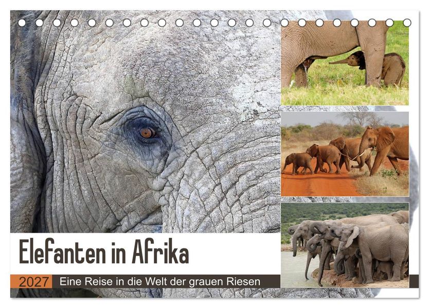 Elefanten in Afrika (Tischkalender 2027 DIN A5 quer) CALVENDO Monatskalender
