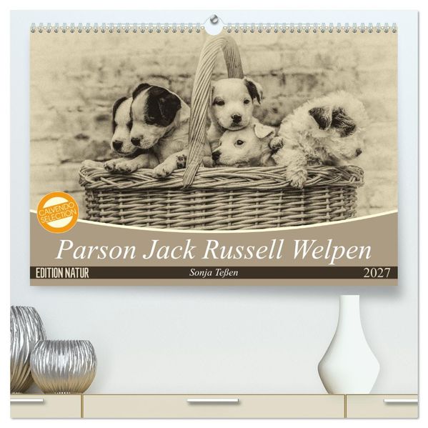 Parson Jack Russel Welpen (hochwertiger Premium Wandkalender 2027 DIN A2 quer) Kunstdruck in Hochglanz