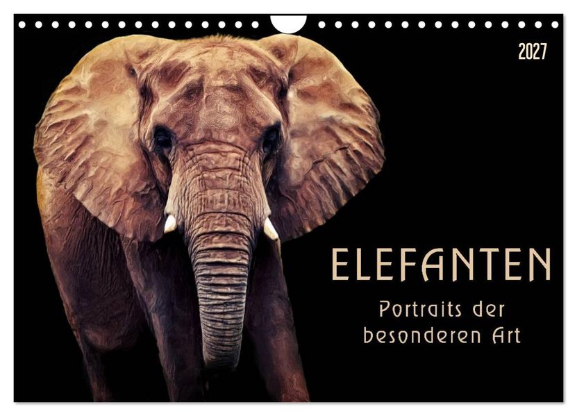 Elefanten - Portraits der besonderen Art (Wandkalender 2027 DIN A4 quer) CALVENDO Monatskalender