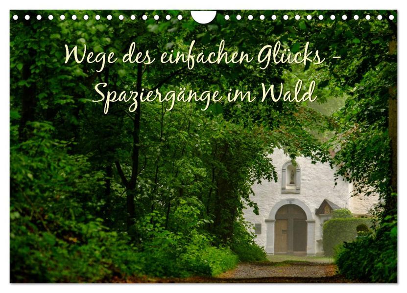 Wege des einfachen Glücks - Spaziergänge im Wald (Wandkalender 2027 DIN A4 quer) CALVENDO Monatskalender