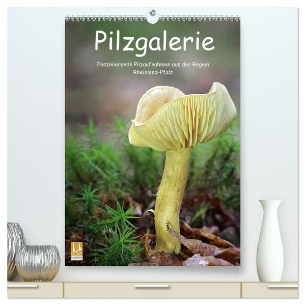 Pilzgalerie - Faszinierende Pilzaufnahmen aus der Region Rheinland-Pfalz (hochwertiger Premium Wandkalender 2027 DIN A2 hoch) Kunstdruck in Hochglanz