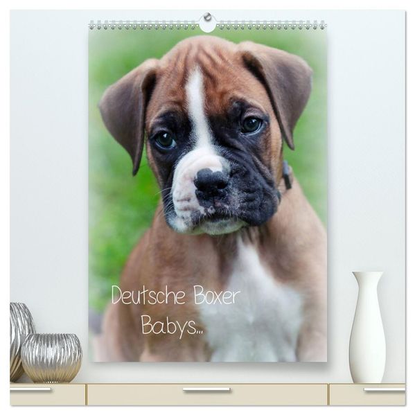 Deutsche Boxer Babys... (hochwertiger Premium Wandkalender 2027 DIN A2 hoch) Kunstdruck in Hochglanz