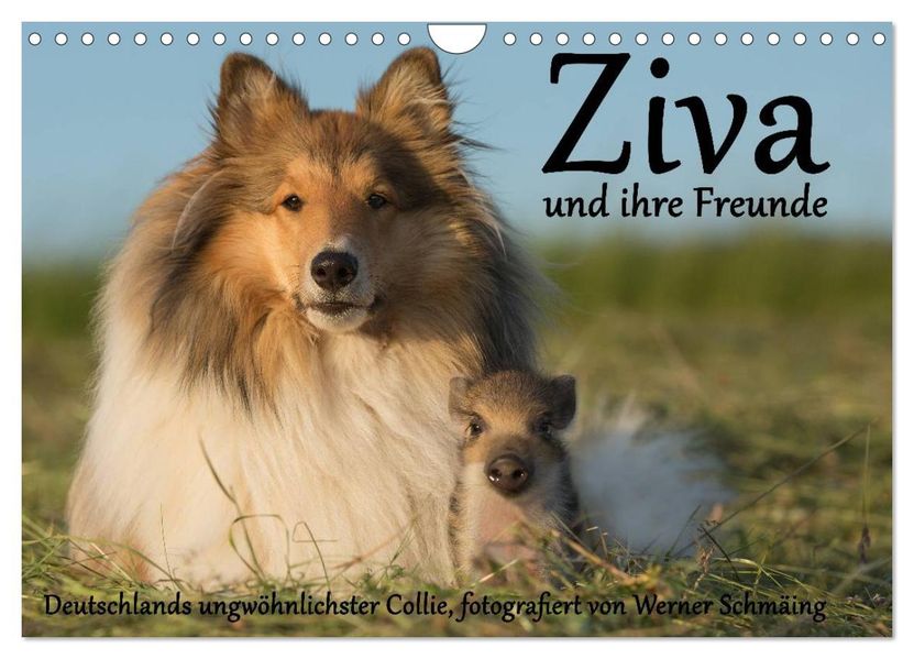 Ziva und ihre Freunde (Wandkalender 2027 DIN A4 quer) CALVENDO Monatskalender