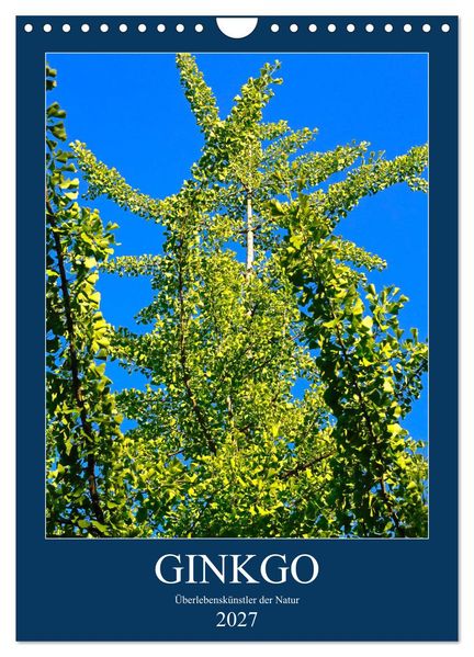 Ginkgo (Wandkalender 2027 DIN A4 hoch) CALVENDO Monatskalender