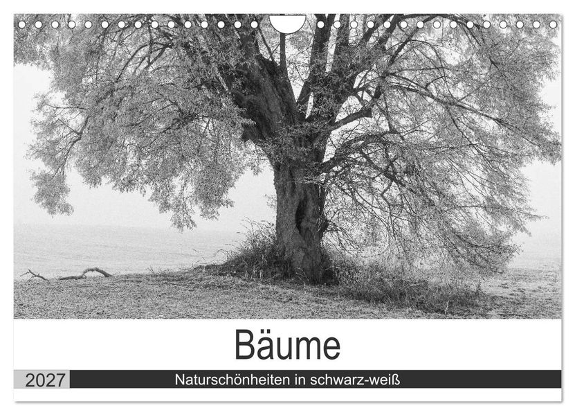 Bäume - Naturschönheiten in schwarz-weiß (Wandkalender 2027 DIN A4 quer) CALVENDO Monatskalender