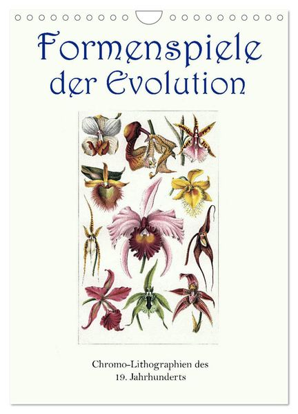 Formenspiele der Evolution. Chromolithographien des 19. Jahrhunderts (Wandkalender 2027 DIN A4 hoch) CALVENDO Monatskalender