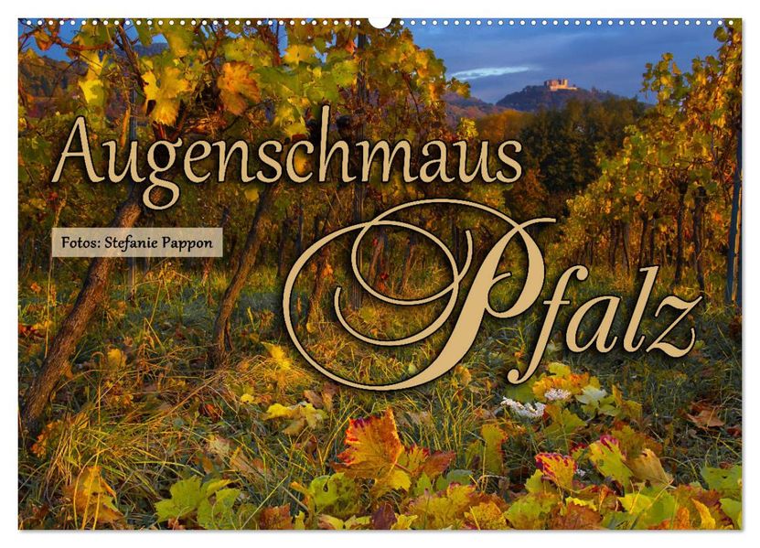 Augenschmaus Pfalz (Wandkalender 2027 DIN A2 quer) CALVENDO Monatskalender
