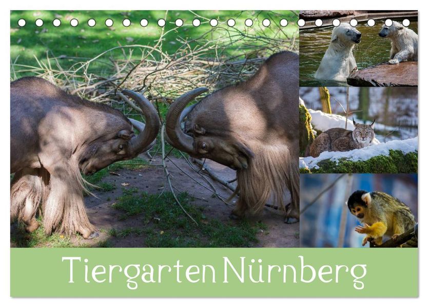 Tiergarten Nürnberg (Tischkalender 2027 DIN A5 quer) CALVENDO Monatskalender