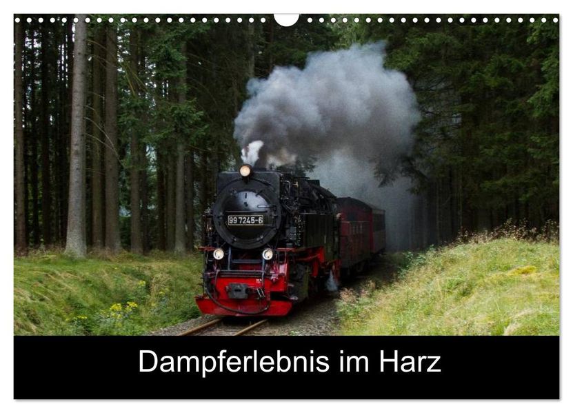 Dampferlebnis im Harz (Wandkalender 2027 DIN A3 quer) CALVENDO Monatskalender