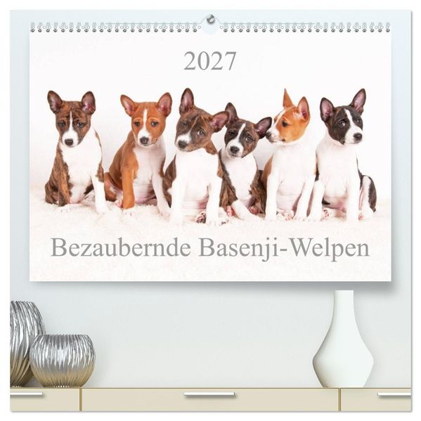 Bezaubernde Basenji-Welpen (hochwertiger Premium Wandkalender 2027 DIN A2 quer) Kunstdruck in Hochglanz