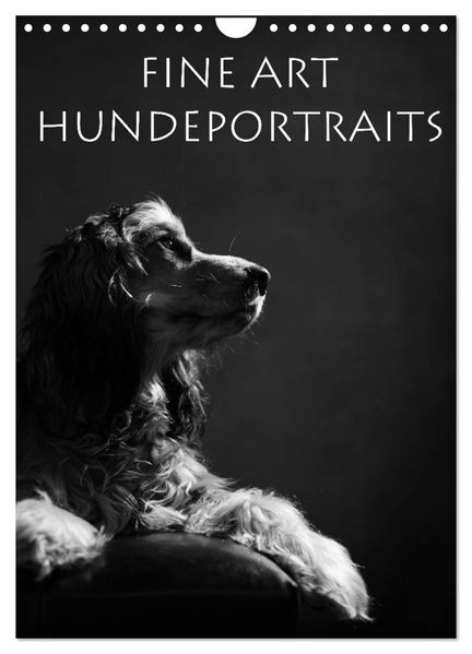 Fine Art Hundeportraits (Wandkalender 2027 DIN A4 hoch) CALVENDO Monatskalender