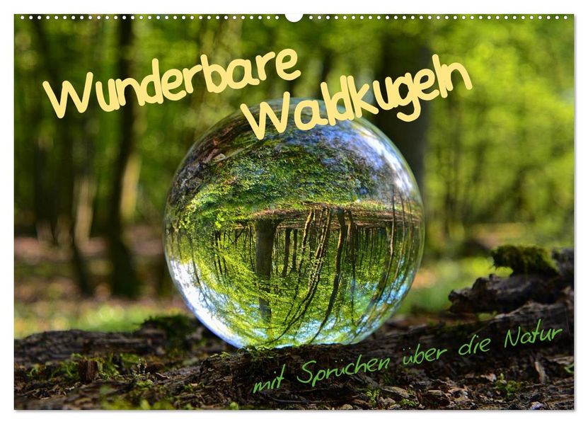Wunderbare Waldkugeln (Wandkalender 2027 DIN A2 quer) CALVENDO Monatskalender