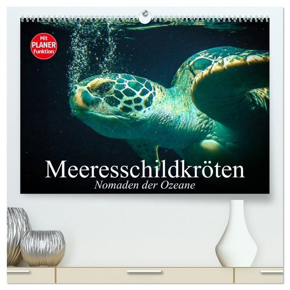 Meeresschildkröten. Nomaden der Ozeane (hochwertiger Premium Wandkalender 2027 DIN A2 quer) Kunstdruck in Hochglanz